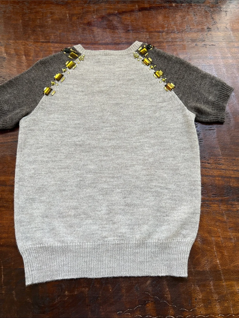 J. Crew Colorblock Jeweled Embellished Short Sleeve Sweater Brown/Tan/Golden XXS